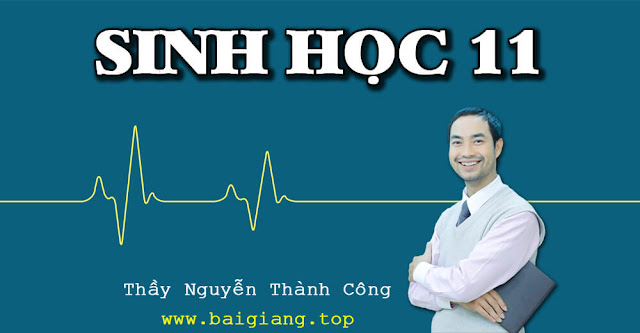 [Hocmai] SINH HỌC 11 - Thầy Nguyễn Thành Công