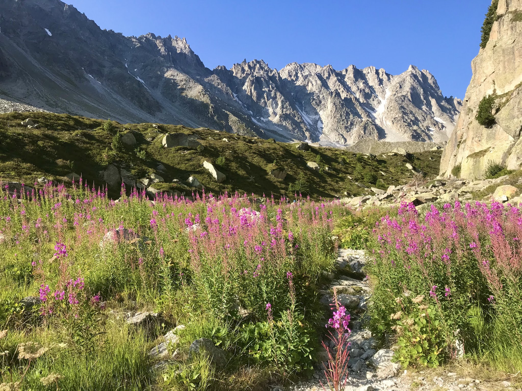 TMB, Tour Mont Blanc, Trient, Arpette, Trekking, Valais, Alpes, Caminhada, Percurso Pedestre, Monte Branco, Suiça