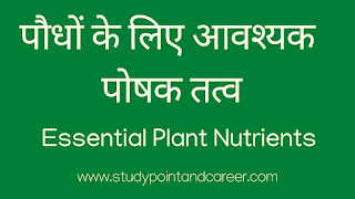 पौधों के लिए आवश्यक पोषक तत्व | Essential Plant Nutrients in Hindi