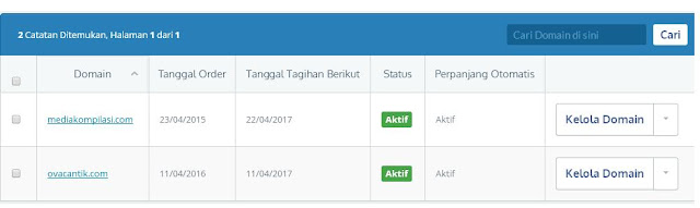 Domain baru