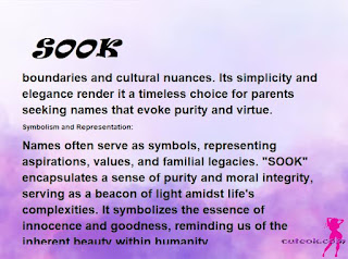 ▷ meaning of the name SOOK