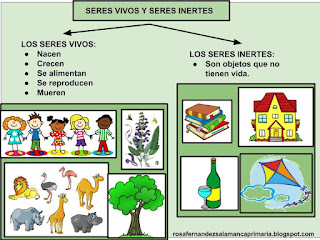 Resultado de imagen de QUE ES UN SER VIVO PARA NIÑOS"