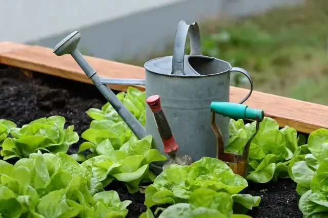 gardening bloomers