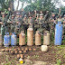 FANB desactiva artefactos explosivos en Apure e incinera cambuches tipo laboratorio Tancol en Zulia