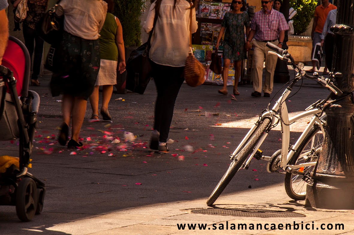 carril bici salamanca, movilidad sostenible