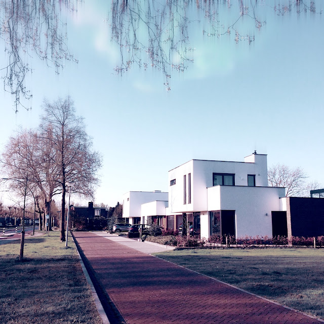 Oranjelaan, Zevenaar, foto Robert van der Kroft