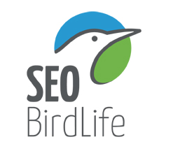 SEO/BirdLife