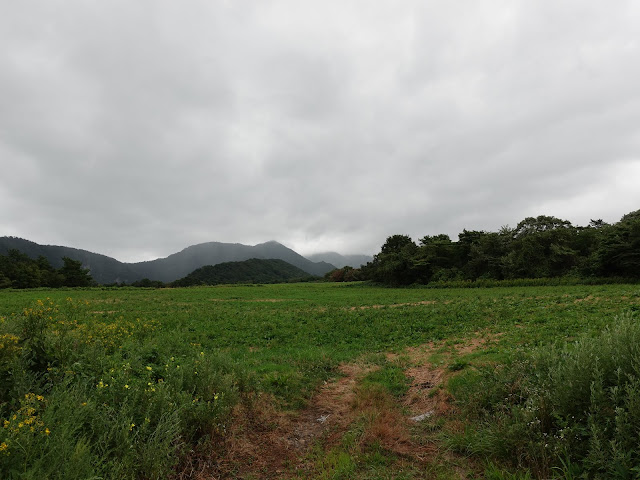 香取の大山環状道