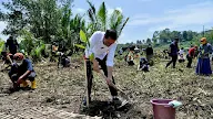 Bersama Masyarakat, Presiden Jokowi Tanam Mangrove di Cilacap, Jawa Tengah