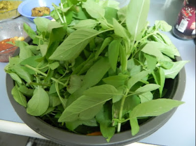 What are the Medical Health Benefits of Lemon basil (Herb Leaves) for Pregnant Women (During Pregnancy) and Beauty