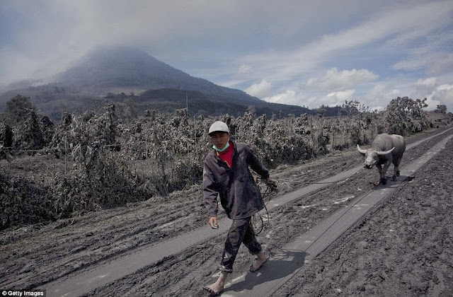 Volcanic Eruption of Mount Sinabung makes villagers to abandon their Village Sigarang Garang in Sumatra , Indonesia 