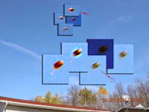 February 20 2013 Paranormal And Weird News