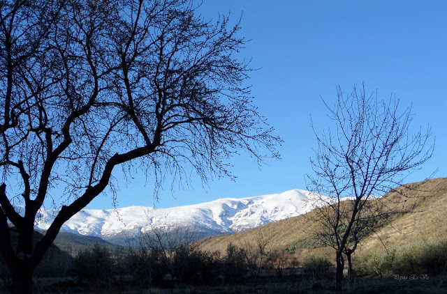 Sierra Nevada desde el Berral, Camino de los Vinateros