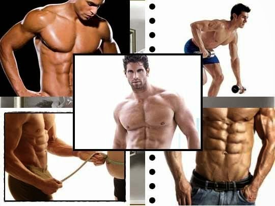 total body transformation diet