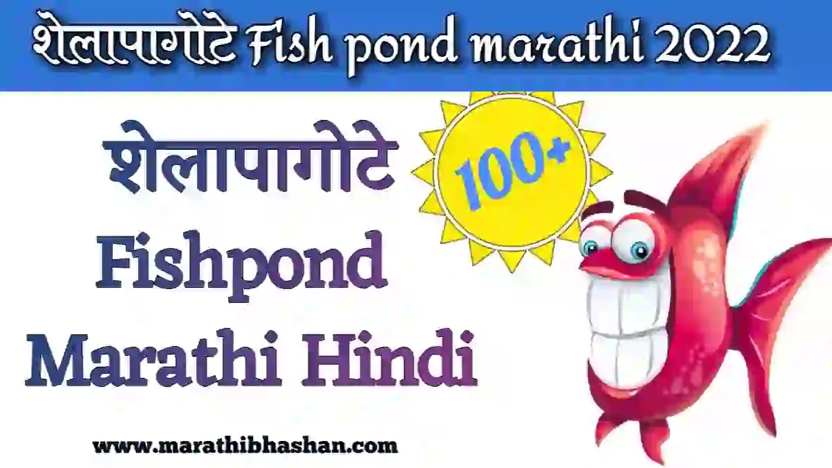 शेलापागोटे Fish pond marathi 2022 for girl friends teachers