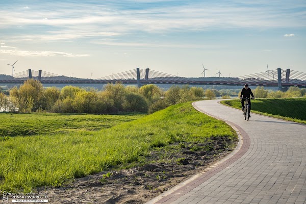 Ścieżka rowerowa w Korzeniewie do mostu nad Wisłą pod Kwidzynem