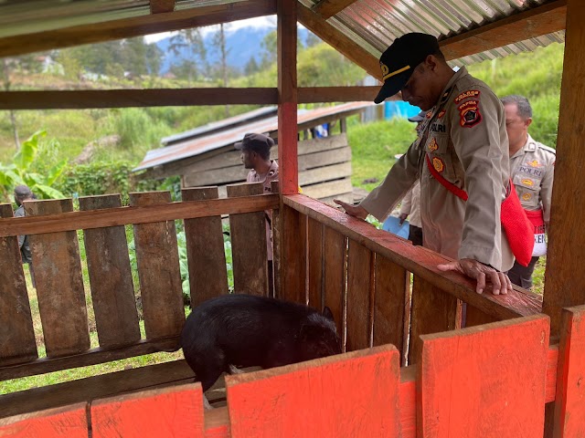 Di Puncak, Binmas Noken Pantau Langsung Perkembang Ternak Binaannya