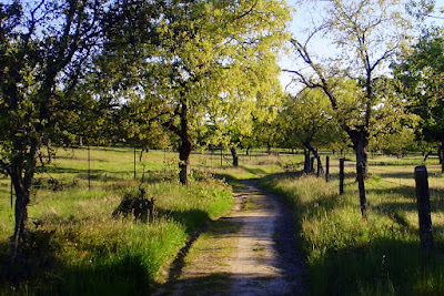 parque natural de cardeña montoro