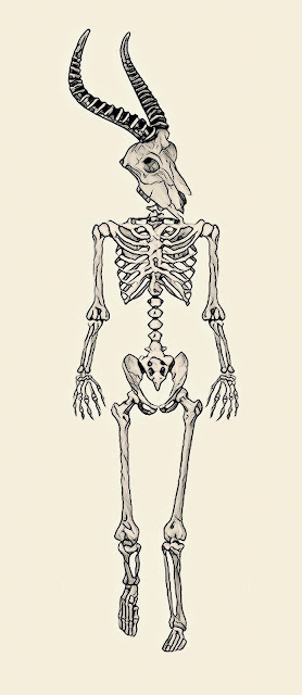 Bones of Satis, Antelope-headed Goddess from Egypt