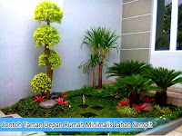 Contoh Taman Depan Rumah Minimalis Lahan Sempit