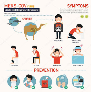 how coronavirus spreads from animals to human beings and ways to prevent it