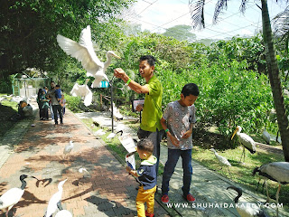 Jalan-Jalan ke Bird Park Kuala Lumpur