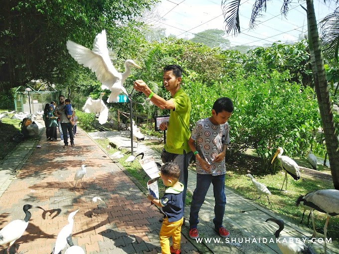 Jalan-Jalan ke Bird Park Kuala Lumpur