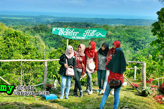 Wonder Hill Jojogan