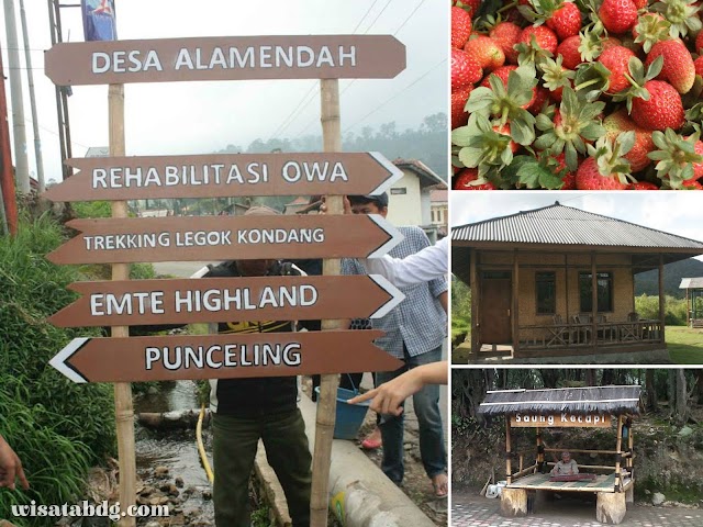 Desa Wisata Alamendah, Destinasi Agrowisata dengan Fasilitas Lengkap di Rancabali