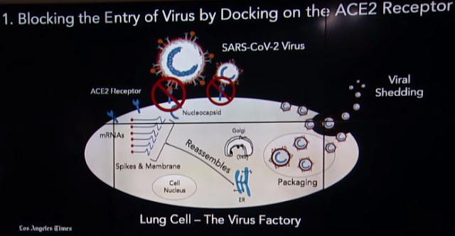 Blocking the Entry of Virus by Docking on the ACE2 receptor 