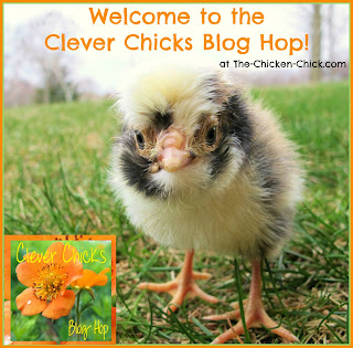  Welcome to my weekly Clever Chicks Blog Hop Brinsea Ecoglow Chick Brooder GIVEAWAY at the Clever Chicks Blog Hop #234