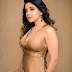 Sakshi Agarwal Latest Photoshoot