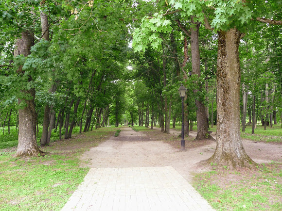 Батурин. Парк Кочубея с вековыми дубами