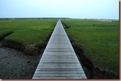 sandwichboardwalk1