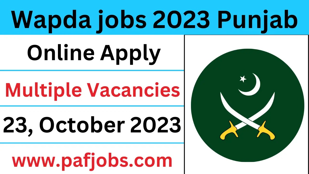 Wapda jobs 2023 Punjab - pafjobs