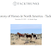 Horses Circumnavigate the Globe