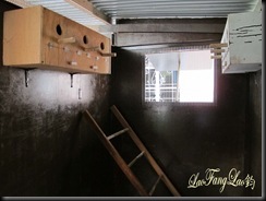 IMG_4781 copy