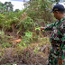 PENEMUAN HARIMAU DI WILAYAH KEC. WAY TENONG KAB. LAMPUNG BARAT