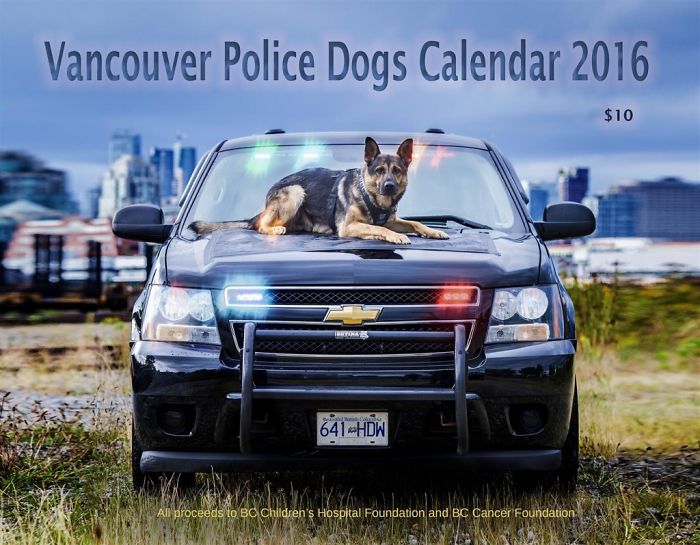 Vancouver Police Canine Unit Released Their 2019 Charity Calendar, And The Photos Are Awesome