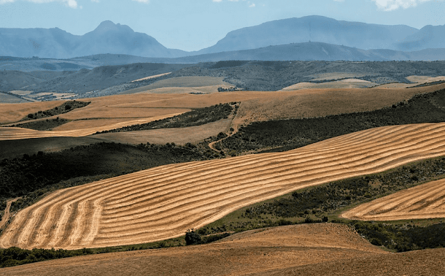 Aplicar métodos más eficientes y sostenible de producción