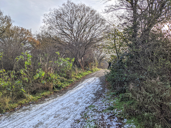 Sandridge footpath 32 after leaving Nomansland Common