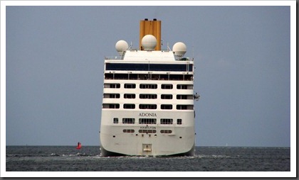 ADONIA_010