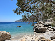 Salt cedar Agios Ioannis Beach.