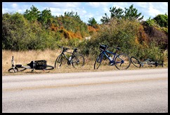 Guarding the Bikes
