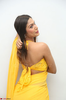 Nishigandha in Yellow backless Strapless Choli and Half Saree Spicy Pics 051.JPG