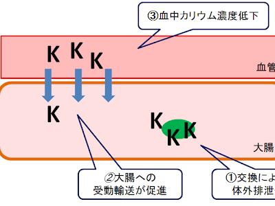 カリメート 便秘 下剤 910736