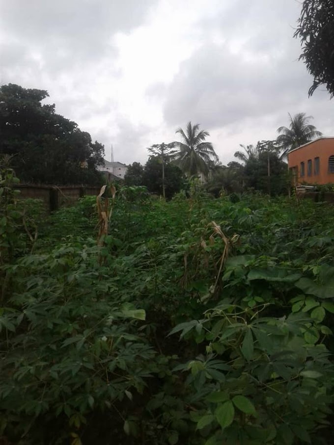 3 Plots Of Land For Sale In Awka, Anambra State off Kwata Junction