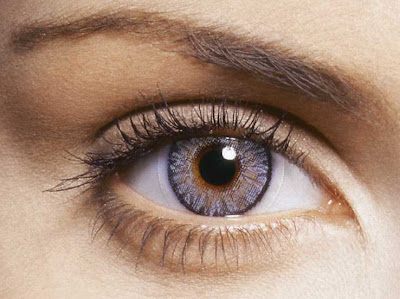 Ada pepatah yang menyampaikan kalo mata tidak pernah bohong inilah  Cara Deteksi penyakit melalui mata