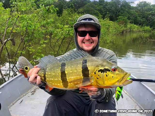 Something Fishy Going On: Species hunting adventures in Singapore