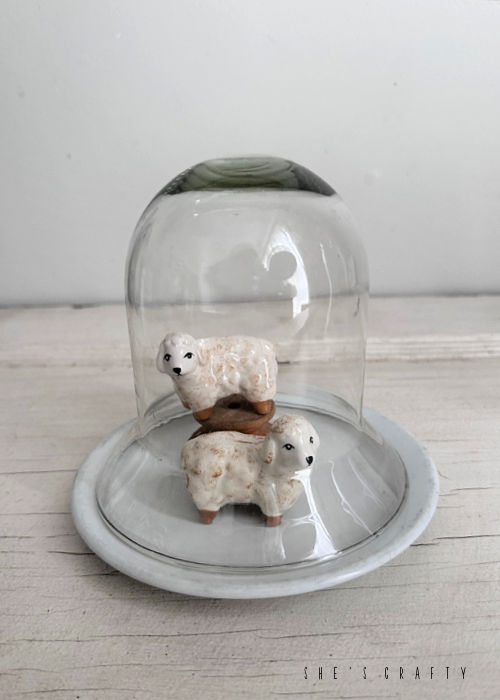 Sheep salt and pepper shakers underneath a cloche.